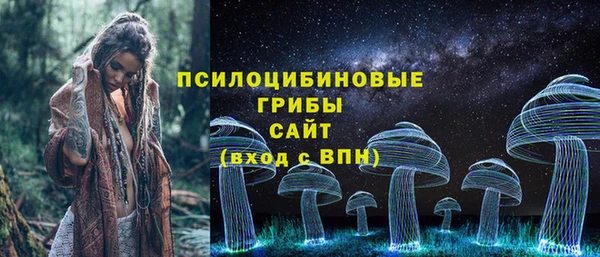 индика Бронницы