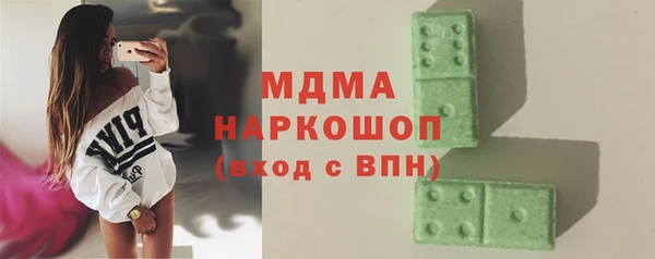 индика Бронницы